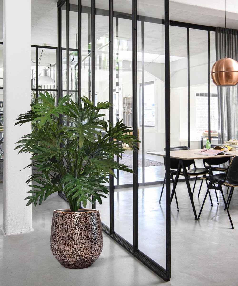 maxifleur Kunstplanten Philo Selloum XL kunstplant 125cm Groen