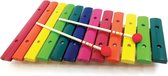 Svoora Kleurijke houten Xylophone, 12 noten. 3+