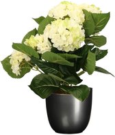 Hortensia kunstplant/kunstbloemen 36 cm - wit/groen - in pot titanium grijs glans - Kunst kamerplant
