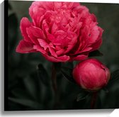 Canvas - Bloemen - Roze - Bladeren - Knop - Natuur - 60x60 cm Foto op Canvas Schilderij (Wanddecoratie op Canvas)