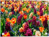 Tuinposter – Veld Vol Wilde Bloemen - 40x30 cm Foto op Tuinposter (wanddecoratie voor buiten en binnen)