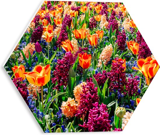 PVC Schuimplaat Hexagon - Veld Vol Wilde Bloemen - 30x26.1 cm Foto op Hexagon (Met Ophangsysteem)