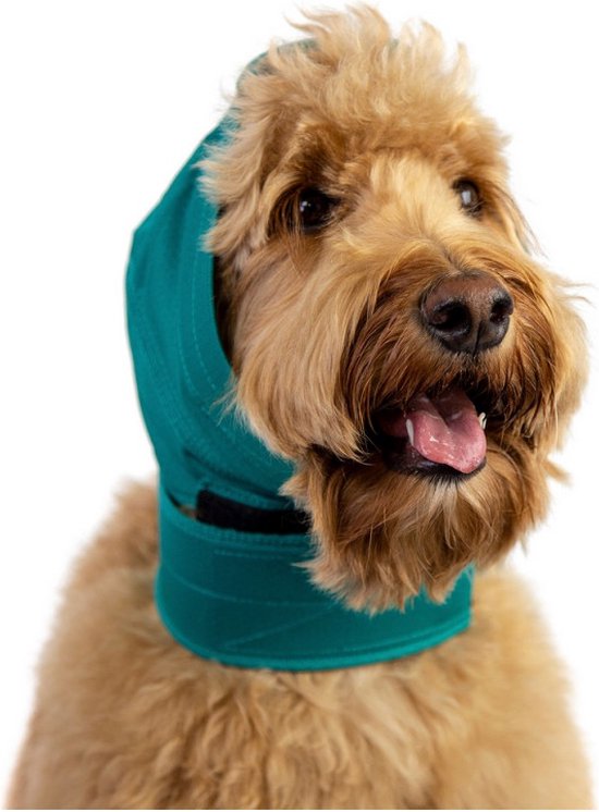 Ear Protector for Dogs KVP Green XL main image 0