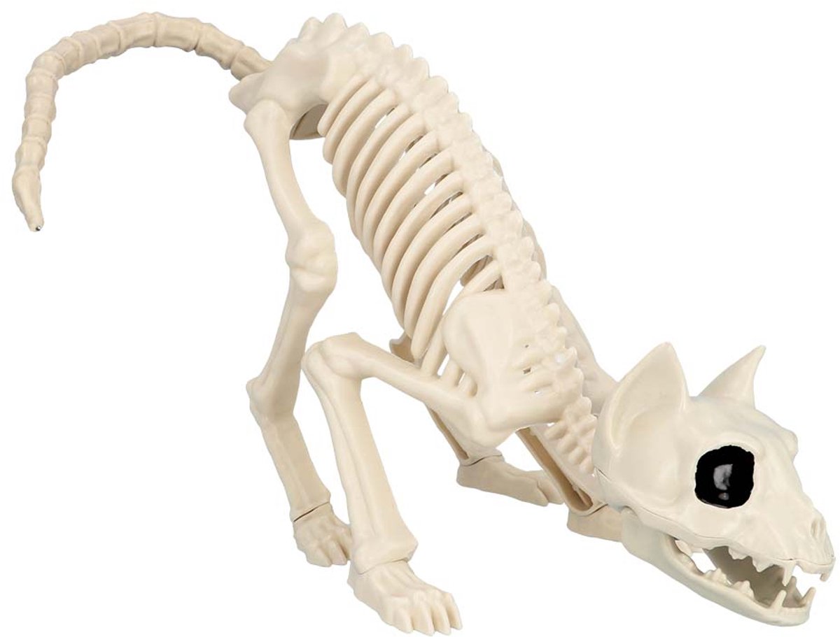 Halloween Kattenskelet.
