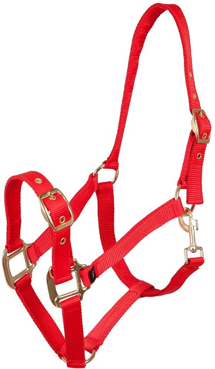 Premiere Halster Pony Rood