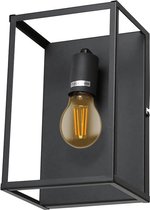 LEDUXA | Wandlamp | Industrieel | Matzwart | E27 | 2400K | Incl. lamp | Staal