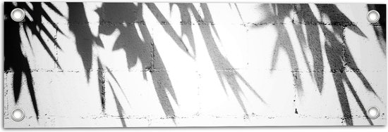 Tuinposter – Planten - Bladeren - Muur - Schaduw - Zwart - Wit - 60x20 cm Foto op Tuinposter (wanddecoratie voor buiten en binnen)