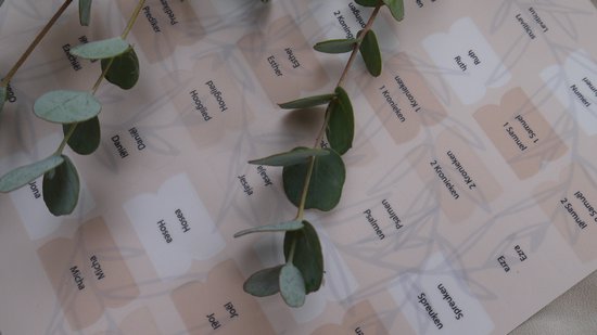 Bijbel tabstickers Nederlands in aardetinten 'Zachtroze'
