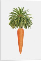 Vlag - Wortel aan Palmboom Bladeren tegen Witte Achtergrond - 40x60 cm Foto op Polyester Vlag