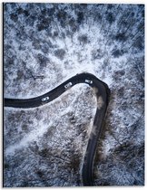 Dibond - Sneeuw - Bomen - Bossen - Voertuigen - Auto - Weg - 30x40 cm Foto op Aluminium (Met Ophangsysteem)