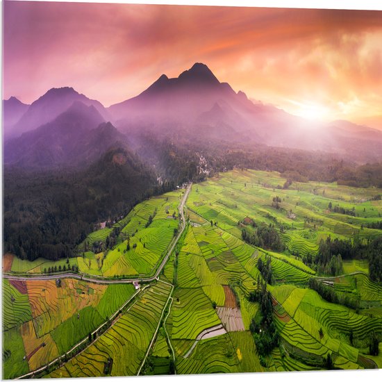 Acrylglas - Uitzicht over de Rijstvelden in het Indonesische Landschap - 80x80 cm Foto op Acrylglas (Met Ophangsysteem)