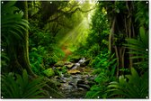 Décoration murale Jungle - Water - Feuilles - Soleil - Nature - 180x120 cm - Poster jardin - Toile jardin - Poster extérieur
