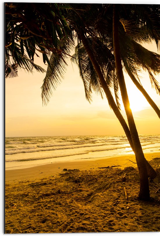 Dibond - Kokosnoot Palmbomen op het Strand bij Fekleurige Zonsopgang - 50x75 cm Foto op Aluminium (Met Ophangsysteem)