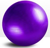 Padisport - fitnessbal 75 cm - zitbal 75 cm - zwangerschapsbal - fysio bal - oefenbal - yoga bal inclusief pomp - fitnessbal - pilates bal - yoga bal paars - yoga bal 75 cm - yoga bal - fitness - paars
