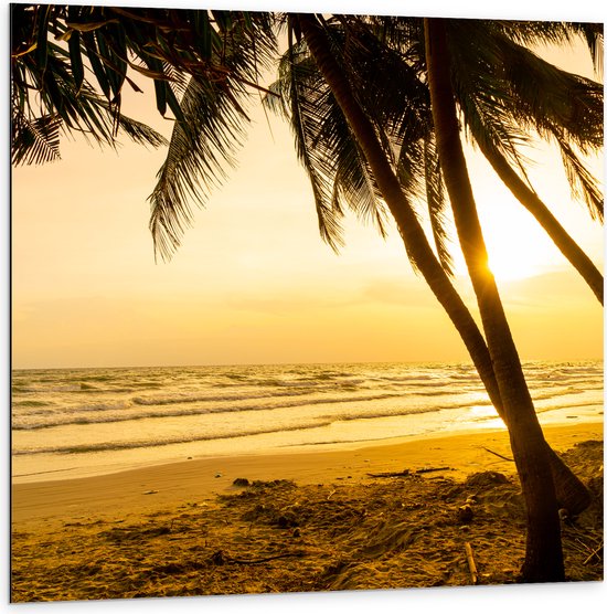 Dibond - Kokosnoot Palmbomen op het Strand bij Fekleurige Zonsopgang - 100x100 cm Foto op Aluminium (Met Ophangsysteem)