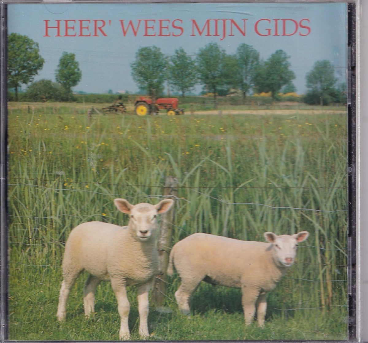 Heer, wees mijn Gids - Diverse koren en organisten