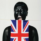V V Brown - Am I British Yet? (CD)