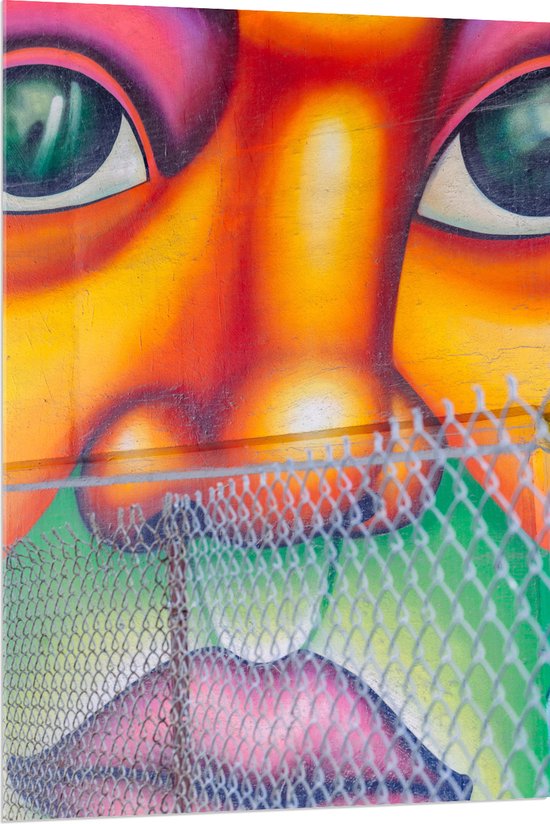Acrylglas - Muurschildering van Gezicht Vol met Kleurrijke Vlakken - 80x120 cm Foto op Acrylglas (Wanddecoratie op Acrylaat)