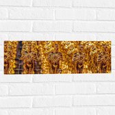 Muursticker - Rijen Gouden Oscars Prijzen - 60x20 cm Foto op Muursticker