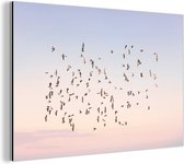 Wanddecoratie Metaal - Aluminium Schilderij Industrieel - Vogels - Zee - Lucht - Natuur - Zomer - 60x40 cm - Dibond - Foto op aluminium - Industriële muurdecoratie - Voor de woonkamer/slaapkamer