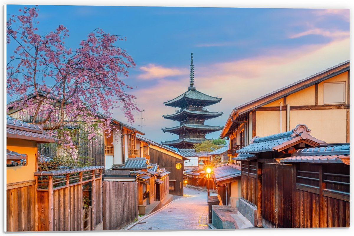 PVC Schuimplaat- Bloesemboom bij Boeddhistische H?kan-ji Tempel in Kioto, Japan - 60x40 cm