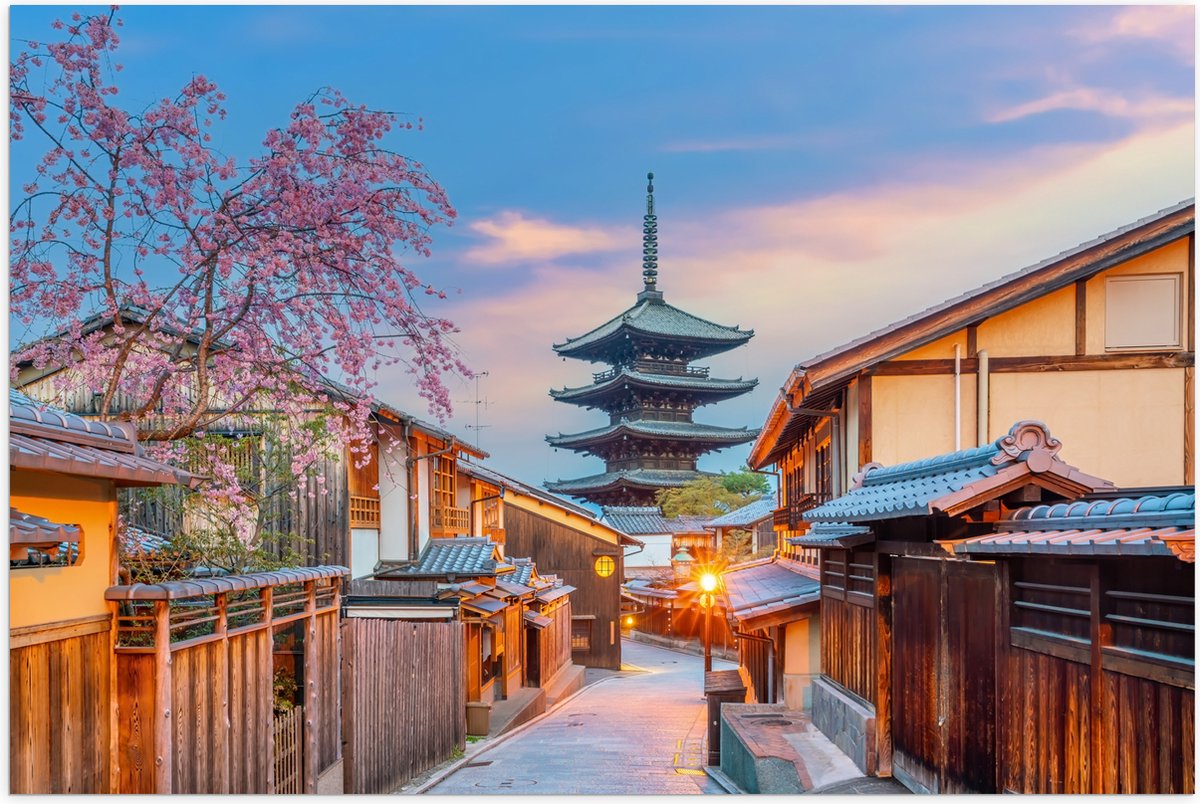 Poster (Mat) - Bloesemboom bij Boeddhistische H?kan-ji Tempel in Kioto, Japan - 60x40 cm F