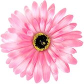 Bloem Gerbera pink