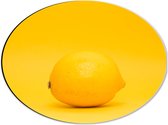 Dibond Ovaal - Citroen met Gele Achtergrond - 40x30 cm Foto op Ovaal (Met Ophangsysteem)