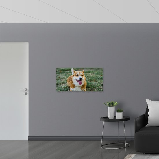 PVC Schuimplaat- Blije Corgi Hond met Uitstekende Tong in het Grasveld - 100x50 cm Foto op PVC Schuimplaat
