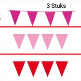 3 maal Vlaggenlijn Pink / L Roze / Oranje, 30 meter totaal, Verjaardag, Themafeest