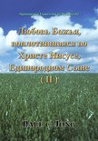 Проповеди о Евангелии от Иоанна (Ⅱ) - Любовь Божья, воплотившаяся во Христе Иисусе, Единородном Сыне (Ⅱ)