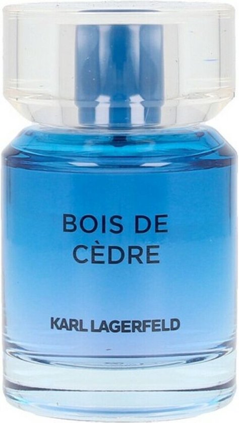 Karl Lagerfeld Bois De Cèdre Eau de toilette Vapo - 100 ml : :  Beauté et Parfum