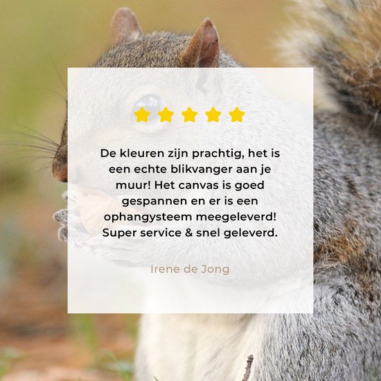 Tableau sur toile Écureuil avec cacahuète - 30x20 cm - Décoration murale