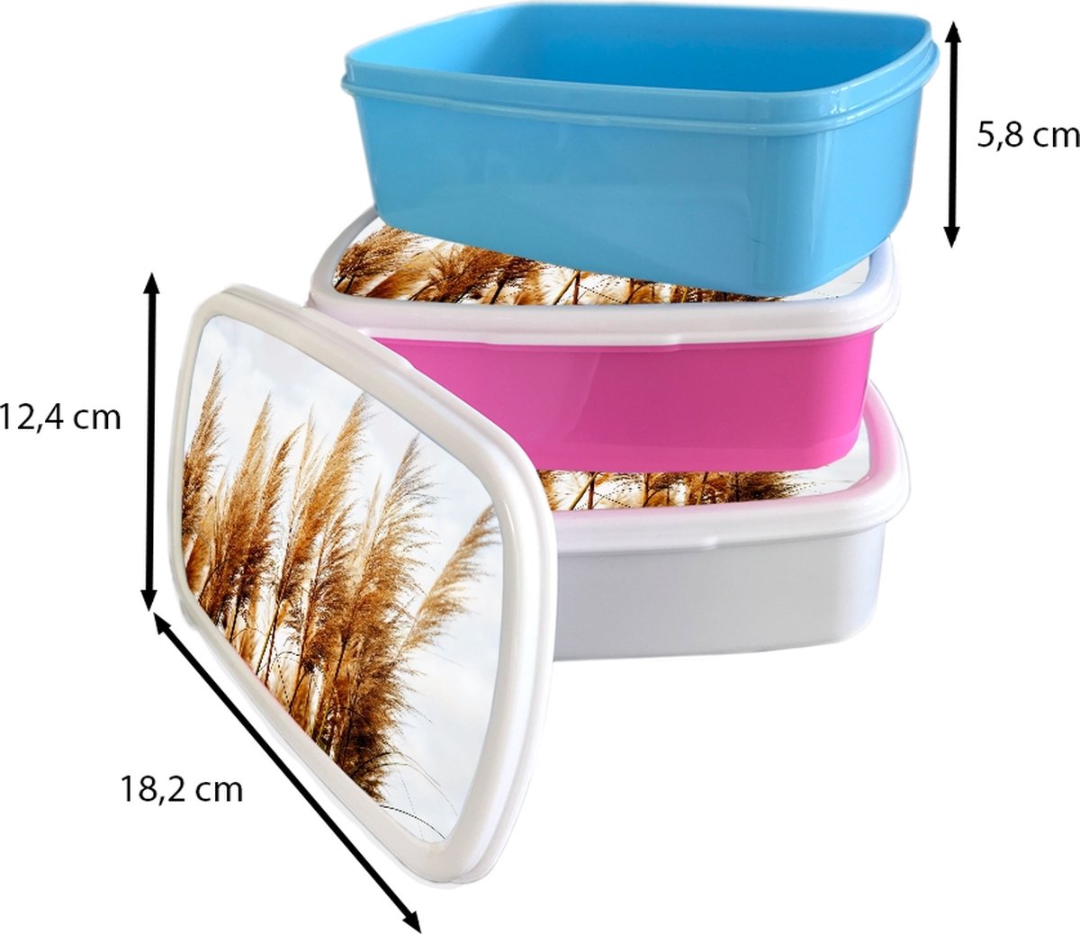 Broodtrommel Roze - Lunchbox - Brooddoos - Pampasgras - Zon - Gras - 18x12x6 cm - Kinderen - Meisje