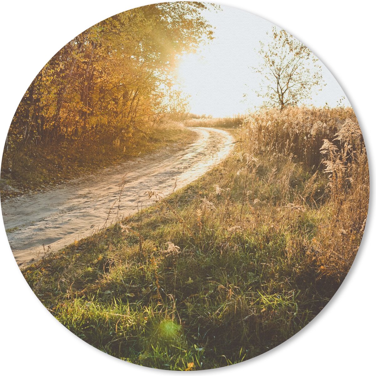 Muismat rond 20x20 cm - Mousepad Pad - Natuur - Boom - Ronde muismatten