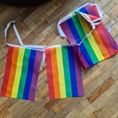 LGBTQ - Feestslinger (LGBTQIA+, pride, love, LHBTI+, LHBTIQA+, gay, trans, bi, lesbo, homo)