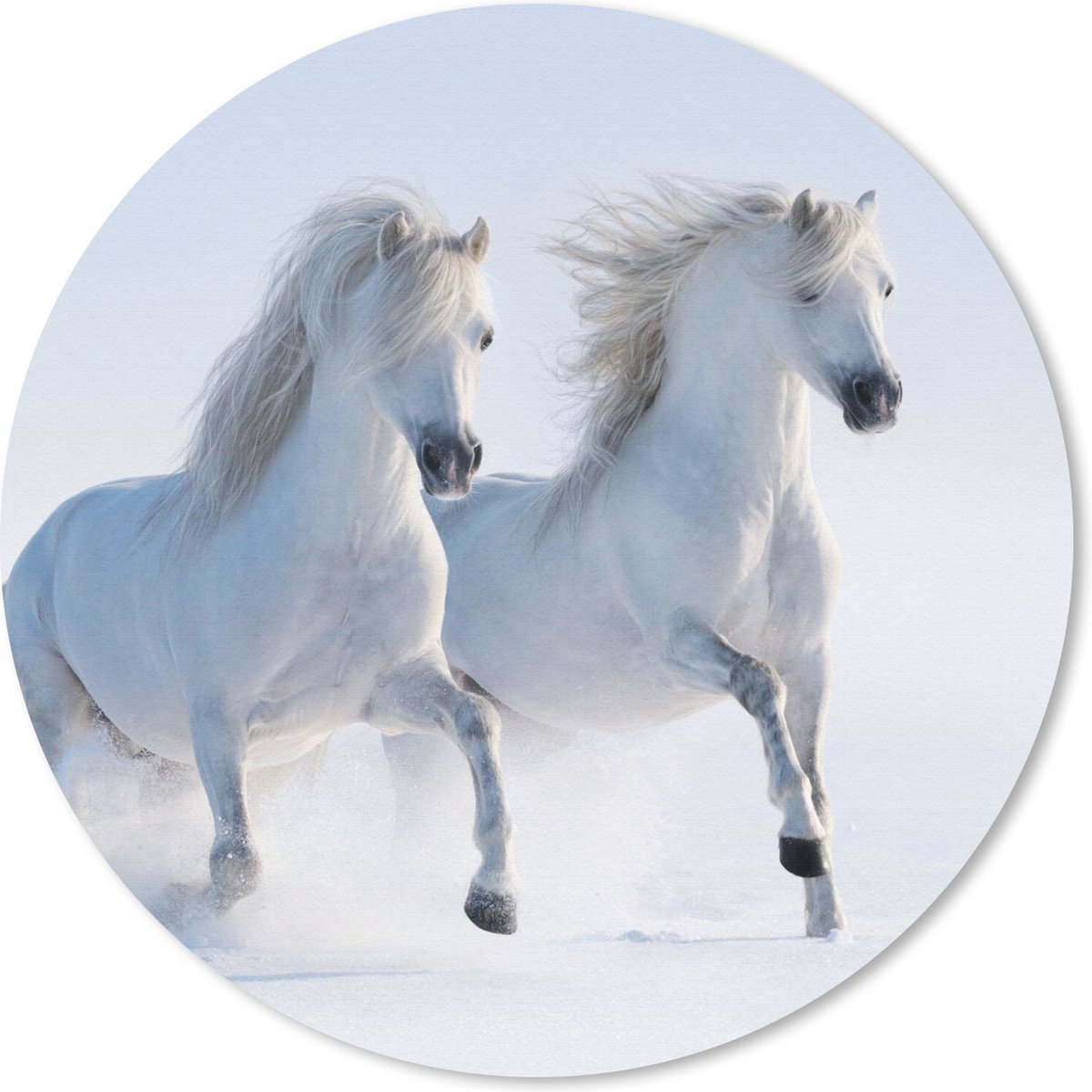 Muismat rond 50x50 cm - Mousepad Winter - Paarden - Sneeuw - Ronde muismatten