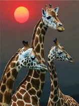 Denza - Diamond painting Giraf 40 x 50 cm volledige bedrukking ronde steentjes direct leverbaar - giraf - giraffen