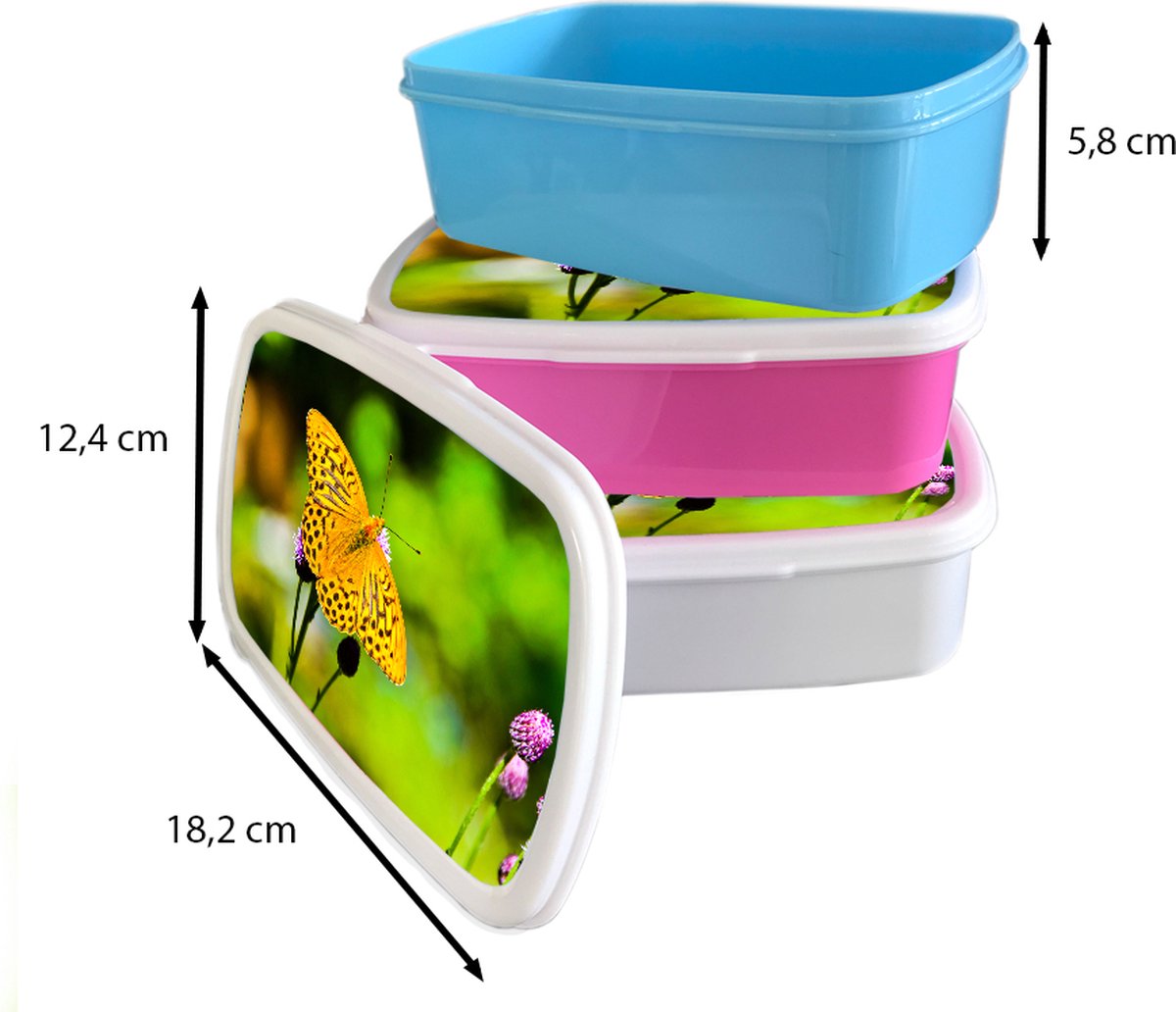 Broodtrommel Roze - Lunchbox - Brooddoos - Vlinder - Tijger - Bloem - 18x12x6 cm - Kinderen - Meisje