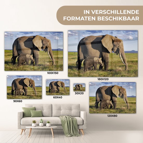 MuchoWow® Peinture sur verre 120x80 cm - Peinture sur verre acrylique - Éléphant - Animaux - Prairie - Vert - Grijs - Photo sur verre - Peintures