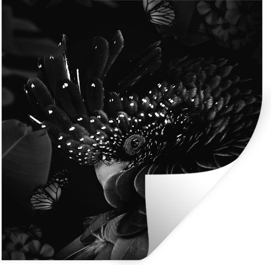 Muurstickers - Sticker Folie - Portret van een kaketoe omringd door vlinders - zwart wit - 50x50 cm - Plakfolie - Muurstickers Kinderkamer - Zelfklevend Behang - Zelfklevend behangpapier - Stickerfolie