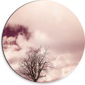 Dibond Muurcirkel - Landschap - Boom - Wolken - Wit - Paars - 30x30 cm Foto op Aluminium Muurcirkel (met ophangsysteem)