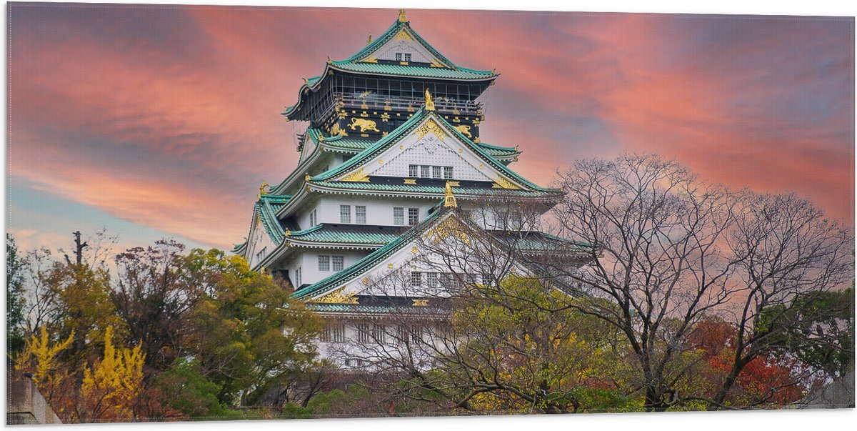 Vlag - Wit met Blauw en Goud Osaka Kasteel, Japan - 100x50 cm Foto op Polyester Vlag
