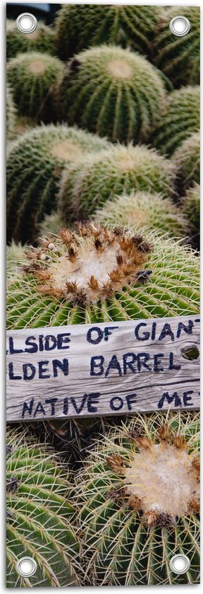 Tuinposter – Cactussen - Planten - Tekst - Bordje - Hout - Kleuren - 20x60 cm Foto op Tuinposter (wanddecoratie voor buiten en binnen)