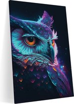 Canvas - Space Owl - 60x90 cm