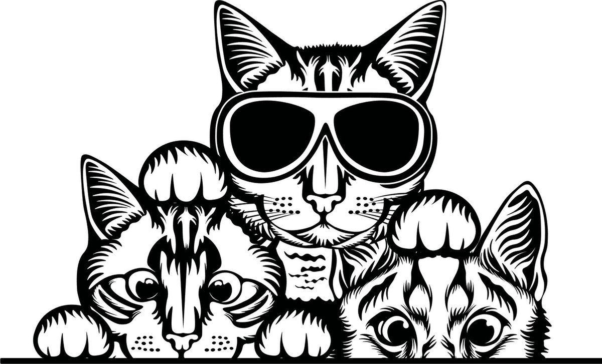 Raam- auto- bumper sticker 3 grappige gluur katten - poezen wallart