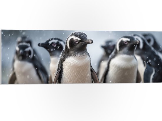 PVC Schuimplaat- Groep pinguïns waggelen door de sneeuw heen - 90x30 cm Foto op PVC Schuimplaat