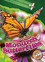 Animals at Risk - Monarch Butterflies