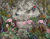 Fotobehang Wallpaper Jungle And Tropical Forest Banana Palm And Tropical Birds, Old Drawing - Vliesbehang - 460 x 300 cm