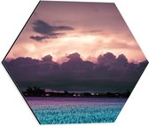 Dibond Hexagon - Zonsondergang - Landschap - Wolken - Kleuren - 40x34.8 cm Foto op Hexagon (Met Ophangsysteem)